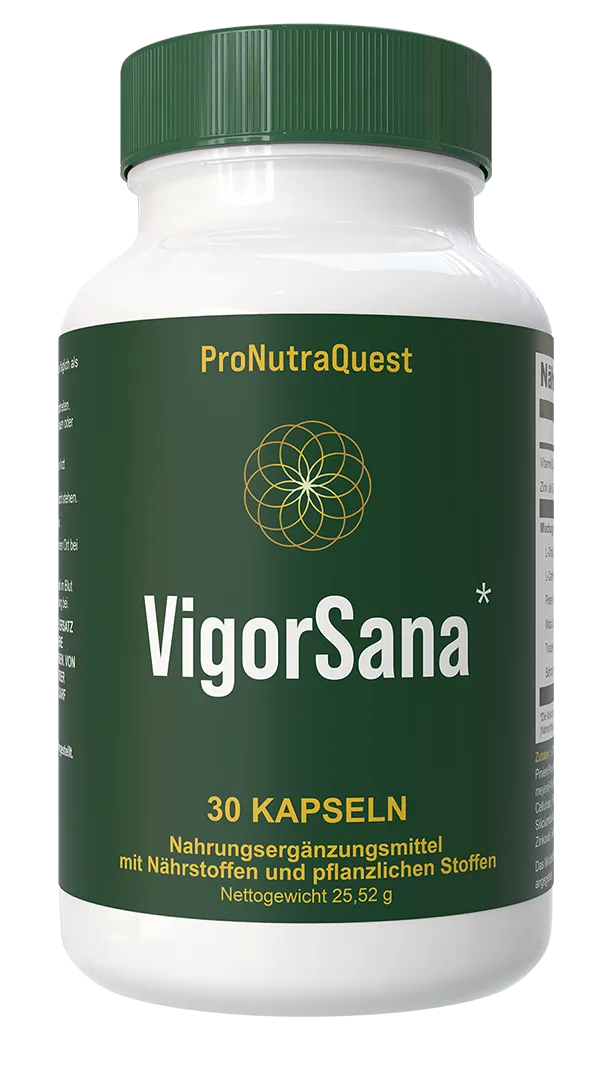 VigorSana 1 Flasche