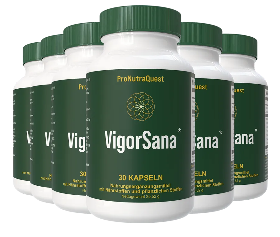 VigorSana 6 Flaschen